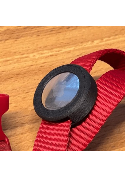 Hayvan Tasmaları Için Kılıfı - Siyah