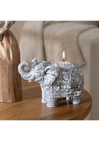 Fil Mum Gri Gri fiyatları