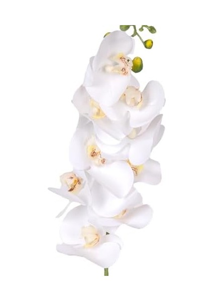 Yapay Orkide Gerçek Dokunuş Beyaz 90 Cm. fiyatları