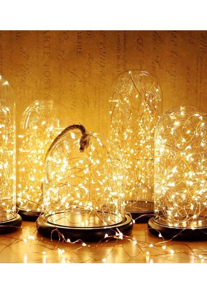 Ev Balkon ve Parti Için 3 Metre USB Gün Işığı Peri LED Yılbaşı Süsü Işık