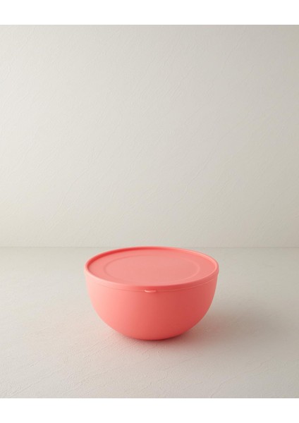 Blitz Plastik Saklama Kabı 4 Lt Gül Kurusu