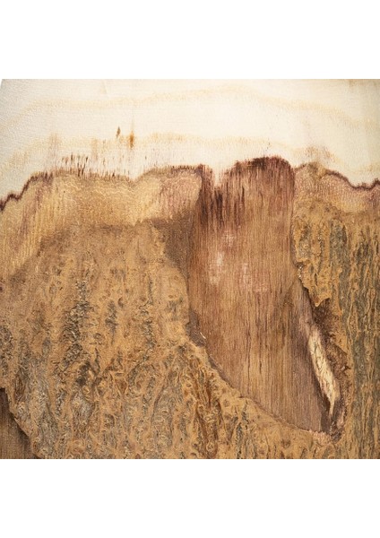 Co-Op 33 cm H Oyma Paulownia Ahşap Canlı Kenar (Her Biri Değişecektir), 32 Cm, modelleri