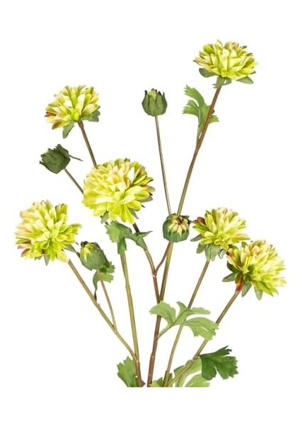 Krizantem Yeşil 77 Cm. fiyatları