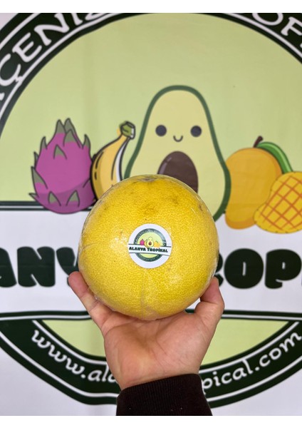 Şadok Meyvesi (Adet) fiyatları