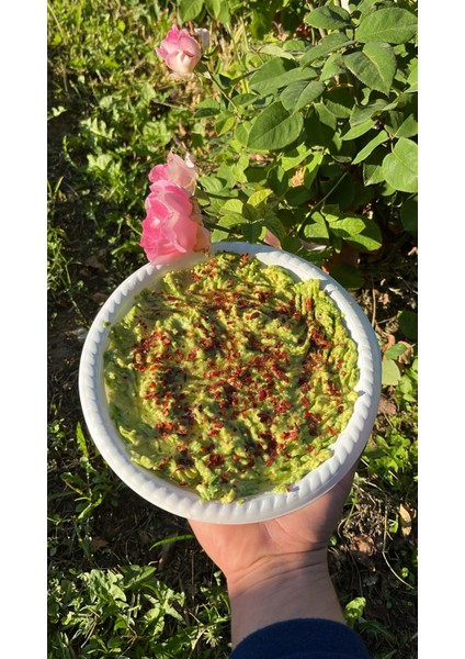 ALANYA AVOKADO(200GR Üstü) 5 Adet modelleri