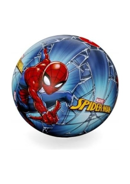 Su Topu, 51 Cm, Çok Renkli fiyatları