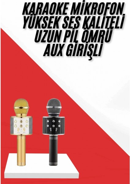 Ieg Karaoke Mikrofon Dahili Hoparlörlü Sd-Usb-Aux Girişli Bluetooth Hoparlör