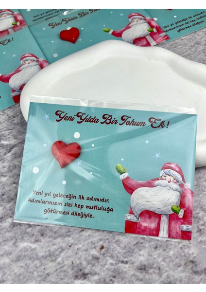 Yılbaşı Hediyesi Kırmızı Kalpli Tohum 1 Adet