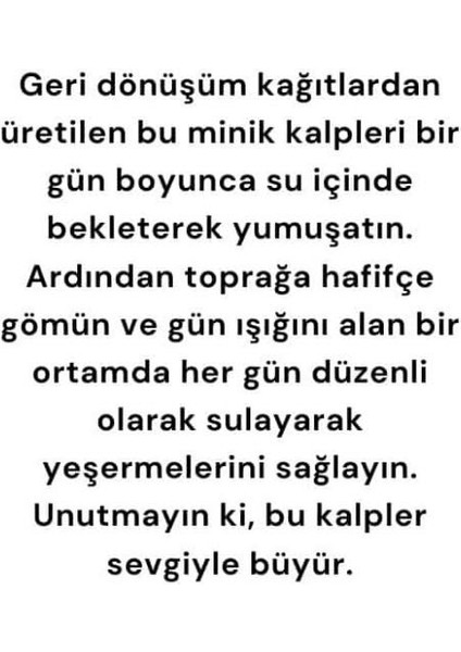 Yılbaşı Hediyesi Kırmızı Kalpli Tohum 1 Adet fiyatları