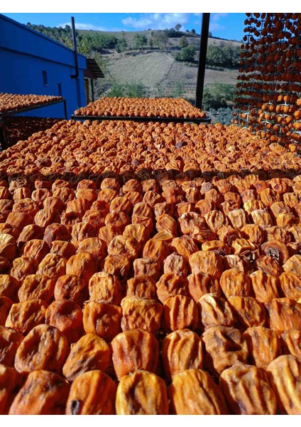 Cennet Hurma Kurusu Kozan