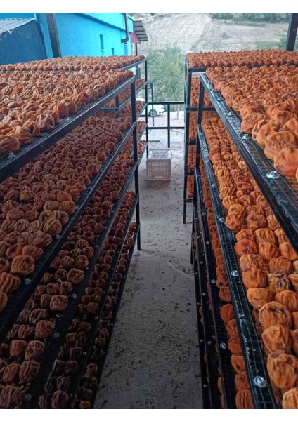 Cennet Hurma Kurusu Kozan fiyatları