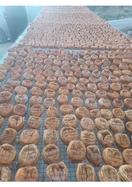 Cennet Hurma Kurusu Kozan modelleri