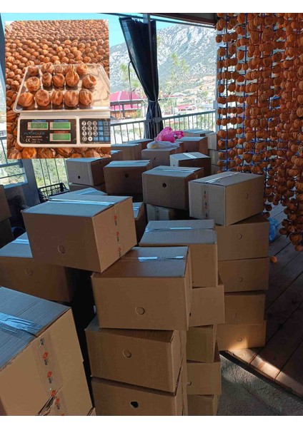 Cennet Hurma Kurusu Kozan fırsatları