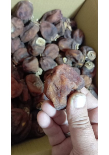 Cennet Hurma Kurusu Kozan indirimleri