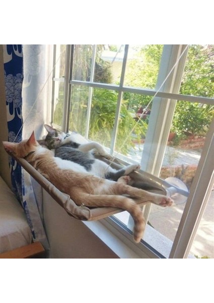 Cama Asılan Kedi Yatağı fırsatları