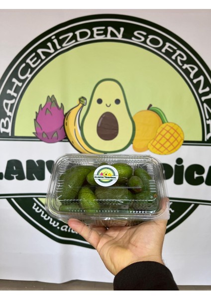 Bebek Avokado (1 Kg) fırsatları