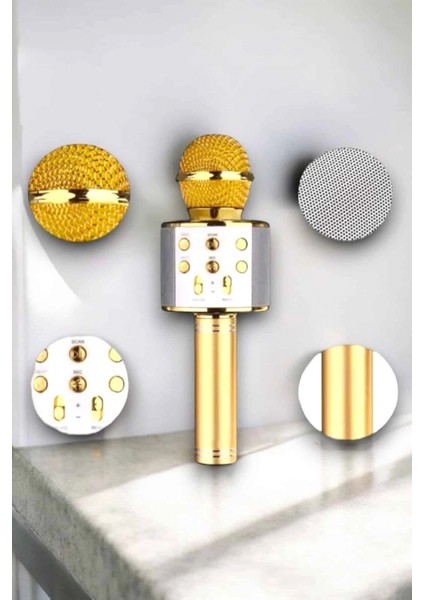 Ieg Taşınabilir Bluetooth Karaoke Mikrofon: Hafıza Kart Girişli, Etkileyici Performans fiyatları