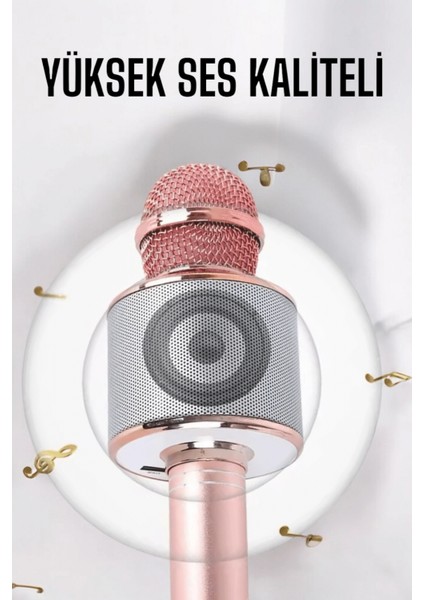 Ieg Taşınabilir Bluetooth Karaoke Mikrofon: Hafıza Kart Girişli, Etkileyici Performans fırsatları