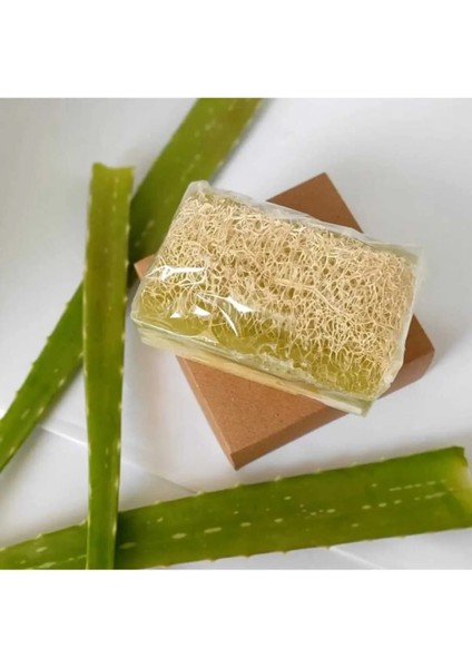 Doğal Kabak Lifli Alovera Sabunu