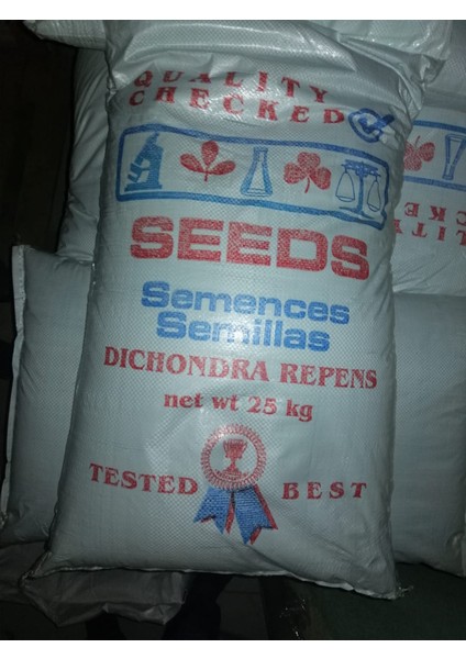 Dicondra Repens ( Fare Kulağı ) fiyatları