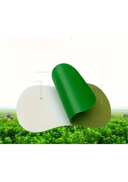 5 Adet Doğal Çin Yakısı Bitkisel Ağrı Bandı Bel Boyun Omuzlar, Dizler ve Alt Sırt Için