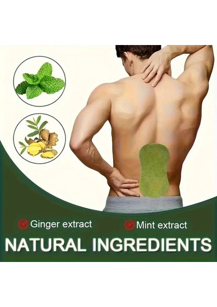 5 Adet Doğal Çin Yakısı Bitkisel Ağrı Bandı Bel Boyun Omuzlar, Dizler ve Alt Sırt Için modelleri