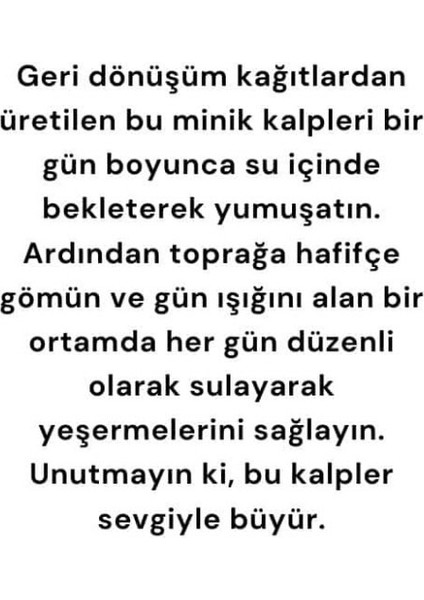 Öğretmenler Günü Hediyesi Tohum 1 Adet modelleri