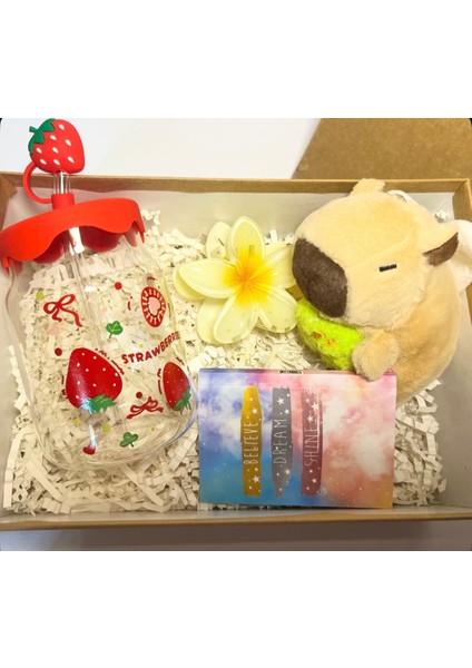 Peluş Kapibaralı Hediye Kutusu,doğum Günü Hediyesi, Sevgiliye Hediye