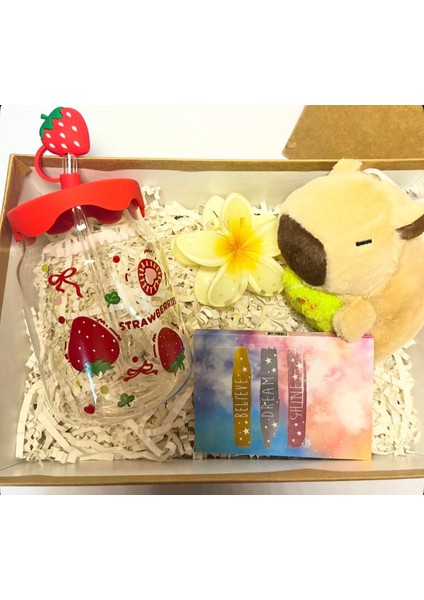 Peluş Kapibaralı Hediye Kutusu,doğum Günü Hediyesi, Sevgiliye Hediye fiyatları