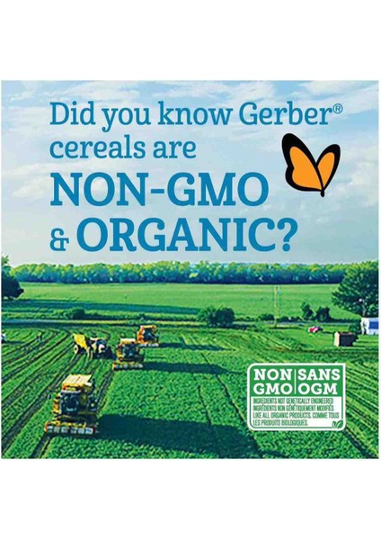 Organic Wheat& Wholegrain Oatmeal Banana-Buğday ve Tam Yulaflı Muzlu Kaşık Mama 6 Ay 208 Ge fiyatları