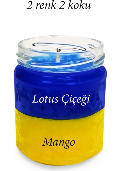 Premium Seri 2 Renk 2 Koku Sarı Lacivert Beş Yıldız Kavanoz Mum 210 cc - Ryl fiyatları