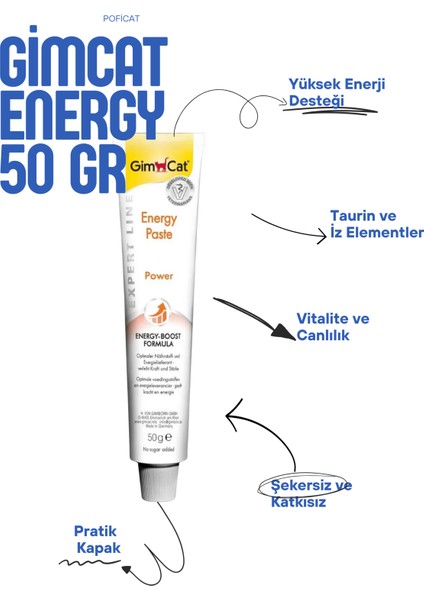 Energy Paste Kedi Macunu (50 Gr) fiyatları