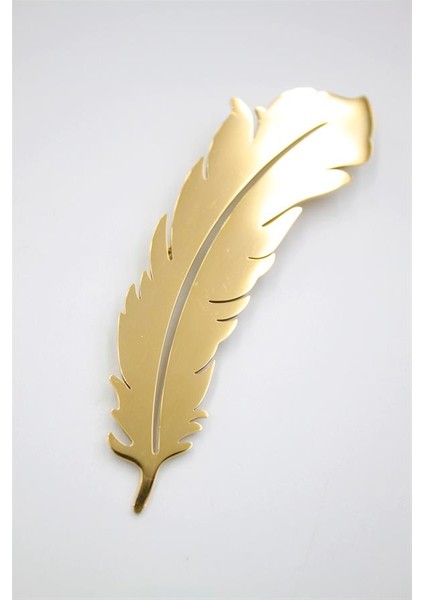 Çelik Tüy Broş - Altın fiyatları