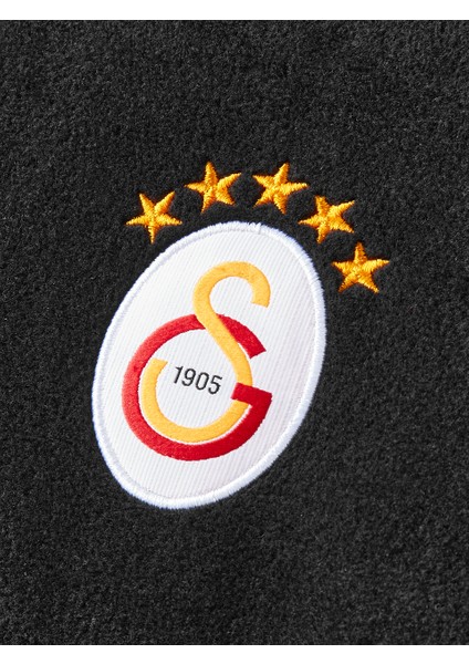 Galatasaray Ucl Erkek Yarım Zip Sweatshirt E252226 modelleri