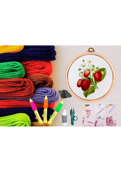 punch seti nakış seti kasnaklı kendin yap seti seri 8