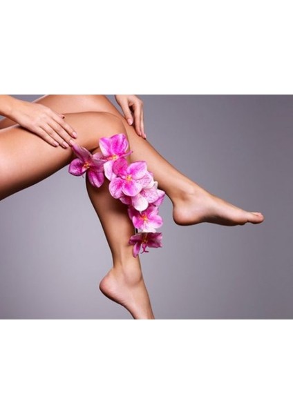 Biowax Ağda Bezi 10 Metre Rulo fiyatları