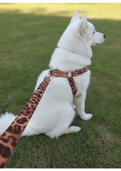 Köpek Göğüs Tasması Ayarlanabilir ve Gezdirme Kayışı Bedenli Set Takım Leopar Desen modelleri
