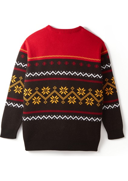 Galatasaray Yeni Yıl Aslanlı Kazak E242246 modelleri