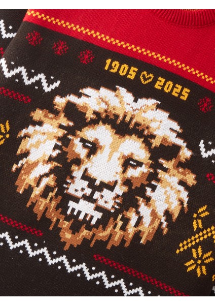 Galatasaray Yeni Yıl Aslanlı Kazak E242246 indirimleri