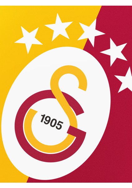Galatasaray 5 Yıldızlı Raşel Balkon Bayrağı 300X450CM U251388 modelleri
