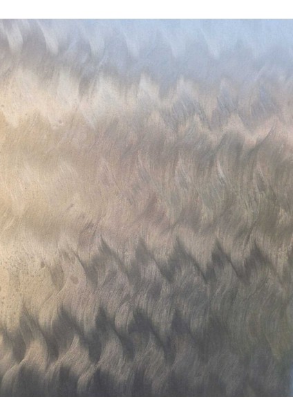 Dekoratif Şeffaf Cam Folyosu | Kendinden Yapışkanlı – Buzlu Cam Görünüm modelleri