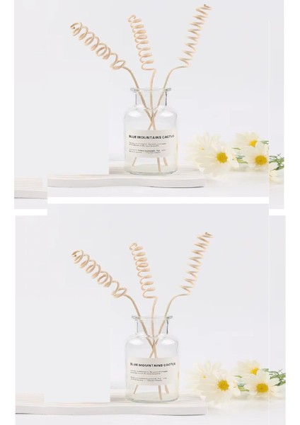 3 Tek Adet 3 Model Aromaterapi Koku Dağıtıcı Rattan Şişe Ahşap Difüzör Çubuk (Spiral-Yaprak-Dalgalı) modelleri