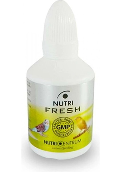 Güvercin Için Soğuk Algınlığı Destek - Fresh