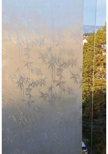 Dekoratif Şeffaf Cam Folyosu | Kendinden Yapışkanlı – Buzlu Cam Görünüm fiyatları