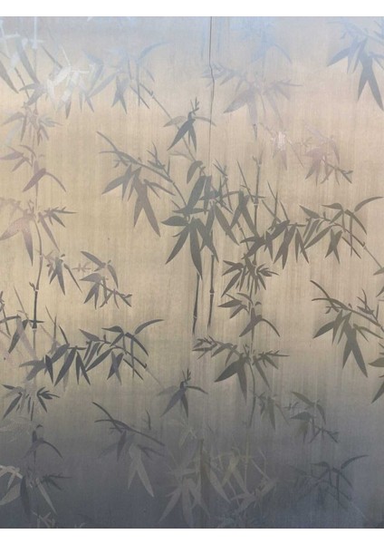 Dekoratif Şeffaf Cam Folyosu | Kendinden Yapışkanlı – Buzlu Cam Görünüm modelleri