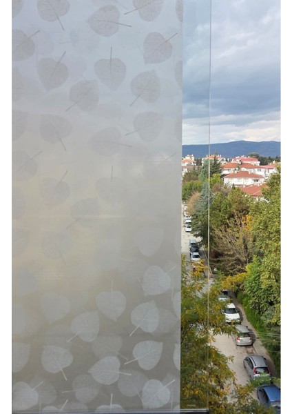 Statik Cam Filmi Beyaz Yaprak Desenli Folyo – Duşa Kabin, Pencere ve Ofis Dekorasyon Kaplaması