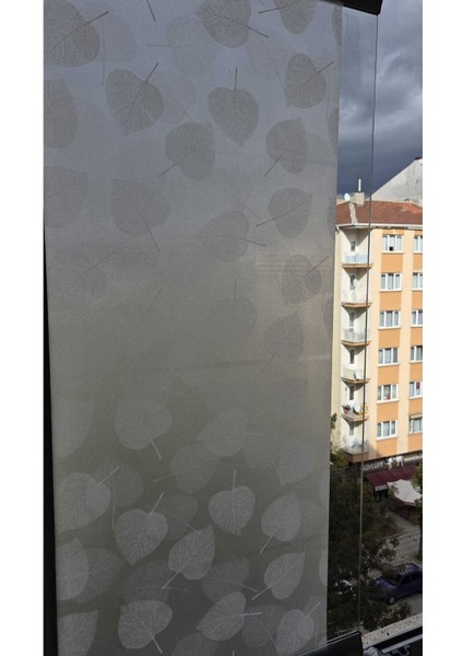 Statik Cam Filmi Beyaz Yaprak Desenli Folyo – Duşa Kabin, Pencere ve Ofis Dekorasyon Kaplaması modelleri