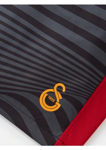 Galatasaray Erkek Deniz Şortu E251084