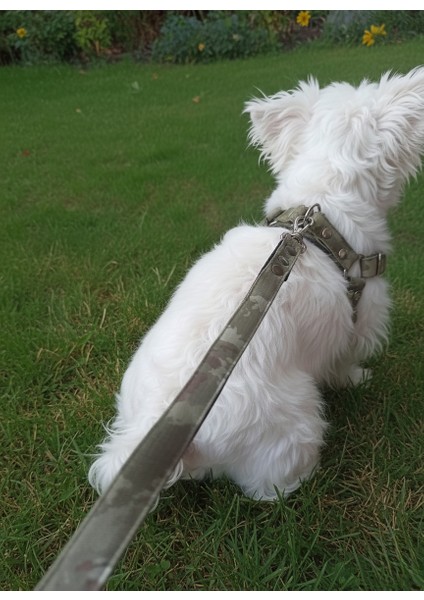 Köpek Göğüs Tasması Ayarlanabilir ve Gezdirme Kayışı Küçük, Orta Irk Set Takım Kamuflaj