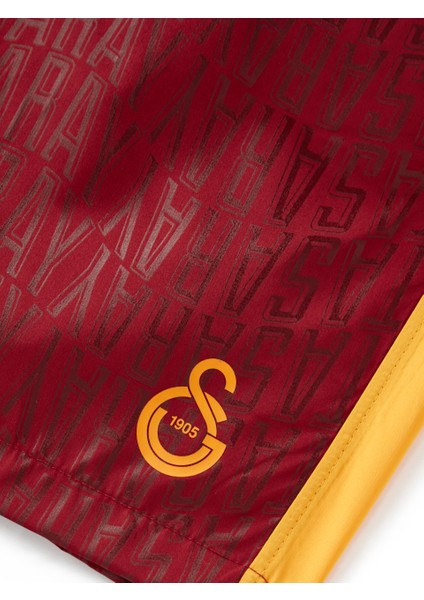 Galatasaray Erkek Deniz Şortu E251085 indirimleri